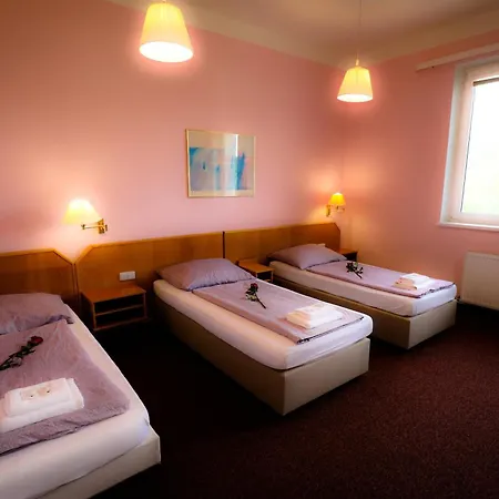 Guest house Wellness Penzion Kromeriz - Zlobice 3*