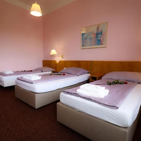 Гостевой дом Wellness Penzion Kromeriz - Zlobice