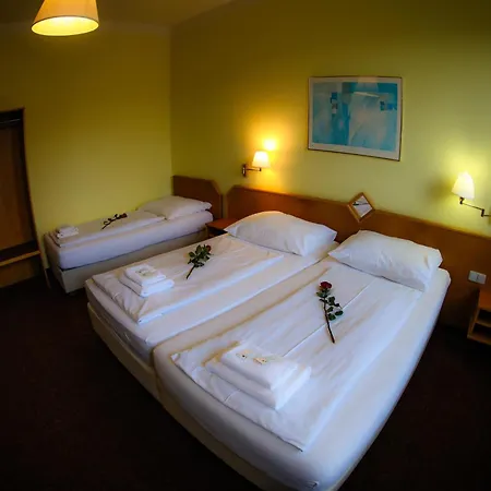 Wellness Penzion Kromeriz - Zlobice Гостевой дом 3*