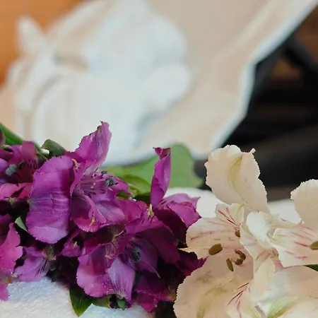 Wellness Penzion Kromeriz - Zlobice 3*