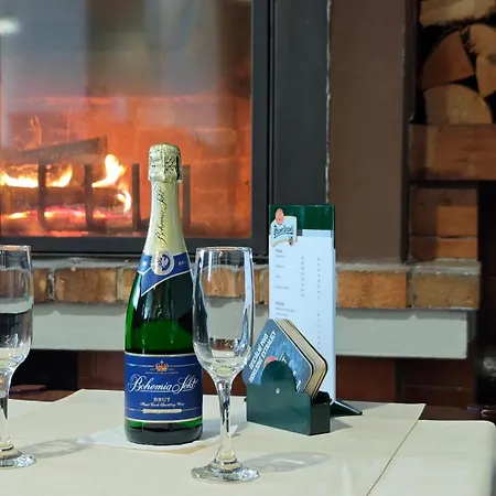Wellness Penzion Kromeriz - Zlobice Guest house 3*