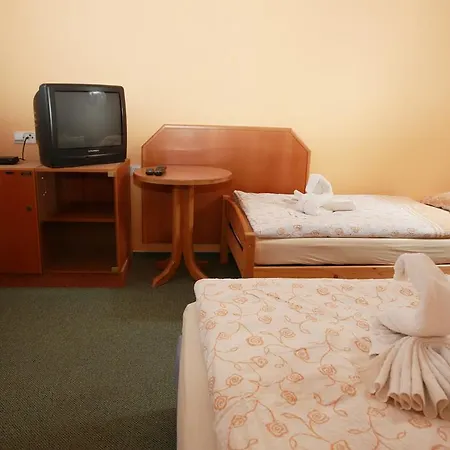 Guest house Wellness Penzion Kromeriz - Zlobice 3*