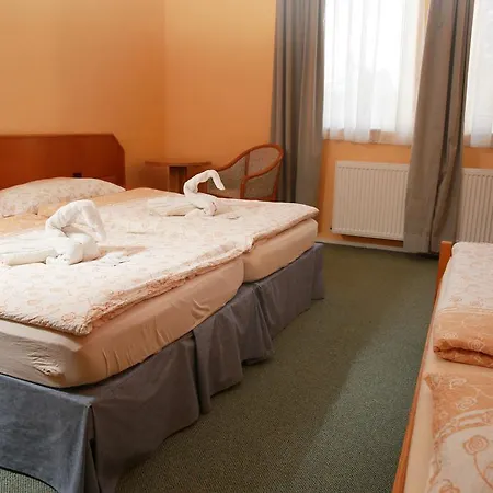 Wellness Penzion Kromeriz - Zlobice Guest house 3*