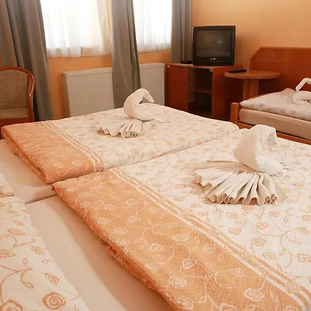 Guest house Wellness Penzion Kromeriz - Zlobice 3*