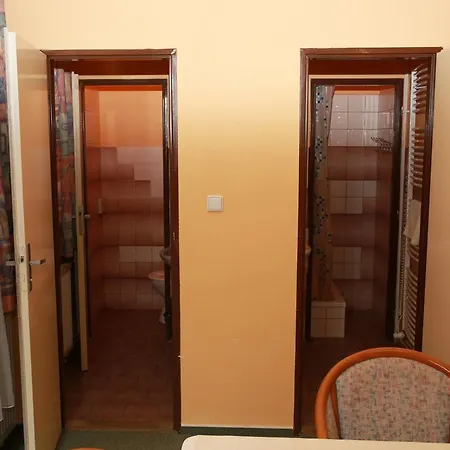 Guest house Wellness Penzion Kromeriz - Zlobice 3*