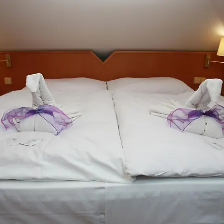 Wellness Penzion Kromeriz - Zlobice 3* Kromeriz