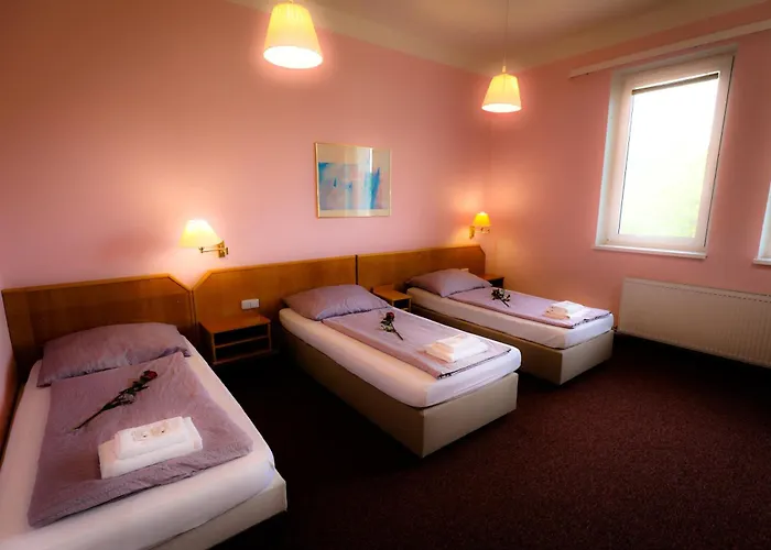 Pensionat Wellness - Zlobice 3*